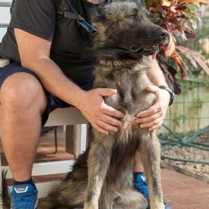 Meet your Posher, Petula